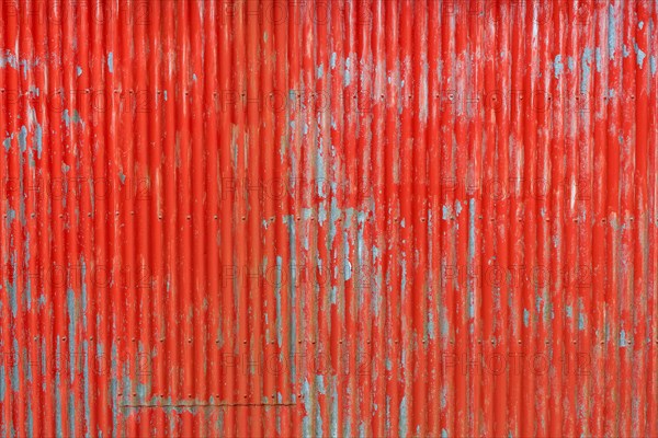 Red painted corrugated iron wall, abandoned herring factory Djupavik, Reykjarfjoerour, Strandir, Arnes, Westfjords, Iceland, Europe