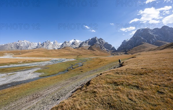 Mountaineer hiking to the mountain lake Kol Suu, mountain landscape with yellow meadows, river Kol Suu and mountain peaks with glacier, Keltan Mountains, Sary Beles Mountains, Tien Shan, Naryn Province, Kyrgyzstan, Asia