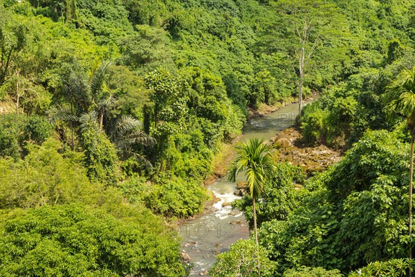 River near Tegenungan waterfall, Bali island, Ubud, Indonesia. Jungle, tropical forest, daytime with cloudy sky