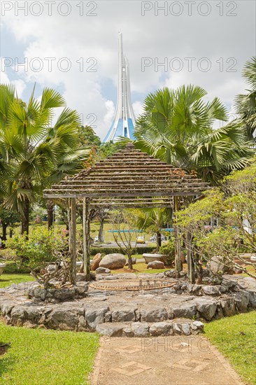 Palm collection in city park in Kuching, Malaysia, tropical garden with large trees and lawns, gardening, landscape design, stone composition, rockery. Daytime with cloudy blue sky, Asia