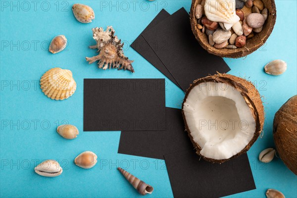 Black paper business card with coconut and seashells on blue pastel background. Top view, flat lay, copy space. Tropical, healthy food, vacation, holidays concept