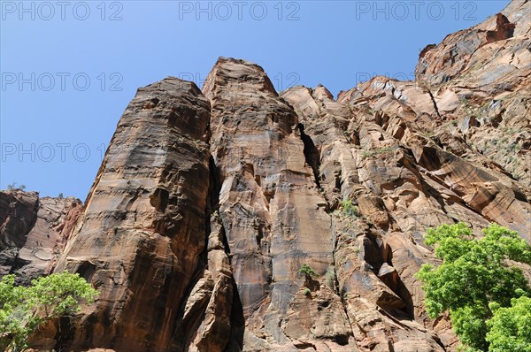 Rock formations, landscape in Zion National Park, Utah, America, USA, North America