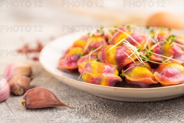 Rainbow colored dumplings with pepper, herbs, microgreen on brown concrete background and linen textile. Side view, selective focus