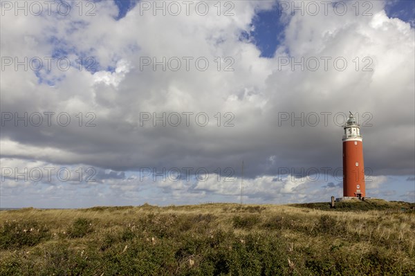 Lighthouse Eierland with dunes, De Cocksdorp, Texel, West Frisian Islands, North Holland Province, Holland, Netherlands