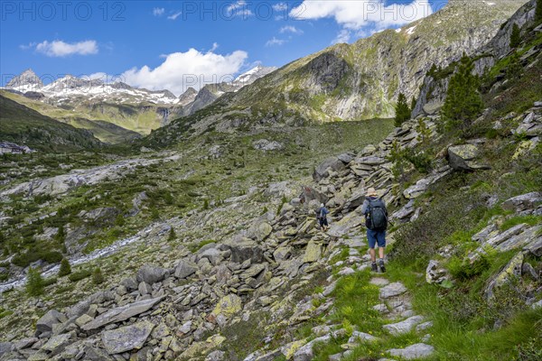Mountaineers on a hiking trail, behind mountain peaks Zsigmondyspitze and Hornkeesbach near the Berliner Huette, Berliner Hoehenweg, Zillertal Alps, Tyrol, Austria, Europe