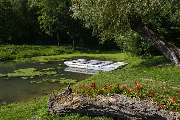 Ship next to a quiet arm of the Little Danube surrounded by green nature and red flowers, Tomasikovo, Tomasikovo, Tallos, Tallos, Galanta, Trnavsky kraj, Trnavsky, Slovakia, Europe