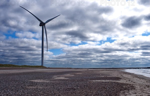 Windrasd in Hvide Sande, Westhjutland, Denmark, Europe