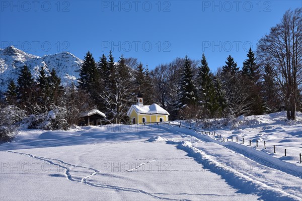 Snow-covered chapel Maria on the humpback meadows Werdenfelser Land near Garmisch in wintry idyll, Bavaria, Germany, Europe