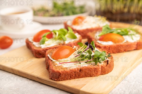 Red beet bread sandwiches with cream cheese, tomatoes and microgreen on gray concrete background. side view, close up, selective focus