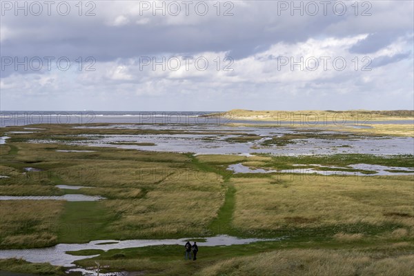 National Park Duinen van Texel, dunes of Texel, North Sea island of Texel, West Frisian island, province of North Holland, Netherlands