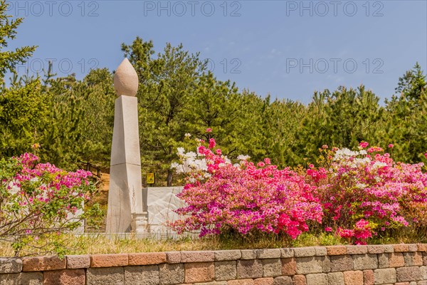 War memorial and flowerbed at nature park at Goseong Unification Observation Tower in Goseong, South Korea, Asia