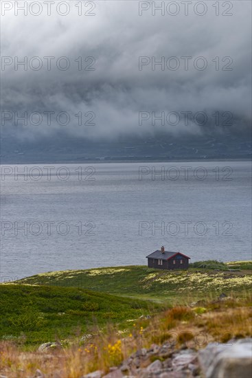 Shot of a hut on Lake Soenstevatn in the rain, portrait format, inland waters, log cabin, holiday home, fell, treeless plateau, fell hut, plateau, wooden house, landscape, landscape photo, panoramic shot, summer, shore, clouds, secluded, remote, lonely, Uvdal, Viken, Norway, Europe