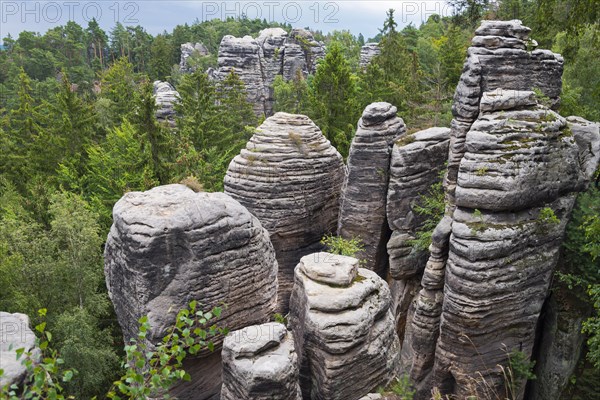 Layered sandstone rocks surrounded by forest, a view of the treetops, Prachovske skaly, Prachov Rocks, Bohemian Paradise, Cesky raj, Czech Republic, Europe