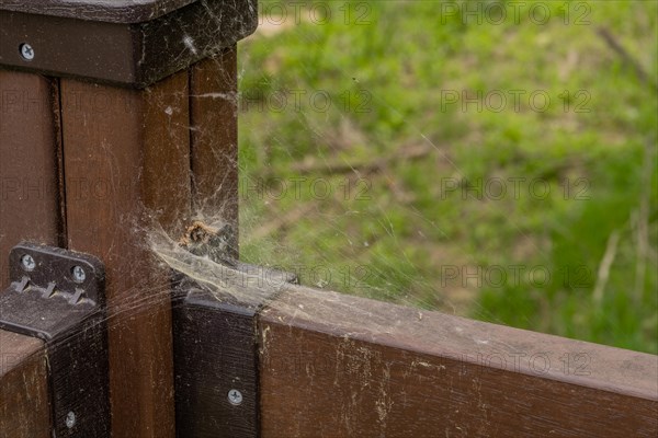 Cobwebs accumulated at corner of wooden fence post and handrails