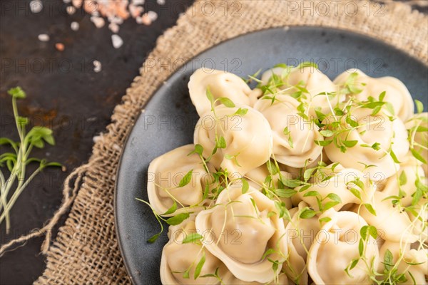 Dumplings with pepper, salt, herbs, microgreen on black concrete background and linen textile. Top view, flat lay, close up