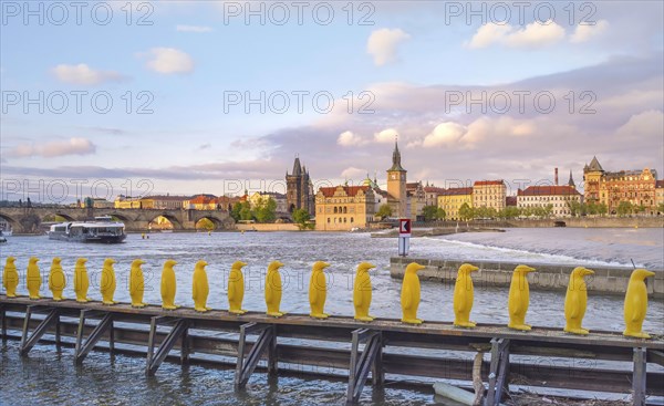 Museum Kampa's Yellow Pinguins, modern art in Prague, Czech Republic and view of old town with Charles Bridge on Vltava river in the background, at sunset