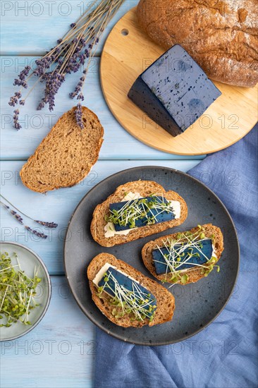 Bread sandwiches with blue lavender cheese and mustard microgreen on blue wooden background and linen textile. top view, flat lay, close up