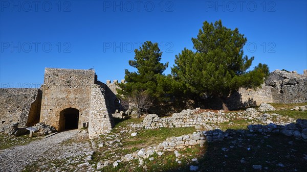 Ruins of an old fortress with a prominent pine tree, Chlemoutsi, High Medieval Crusader castle, Kyllini peninsula, Peloponnese, Greece, Europe