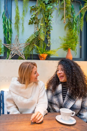 Vertical portrait with copy space of two adult woman having fun sitting on a cafeteria