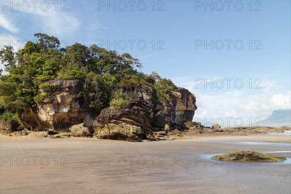 Cliff in Bako national park, sunny day, blue sky and sea. Vacation, travel, tropics concept, no people, Malaysia, Kuching, Asia