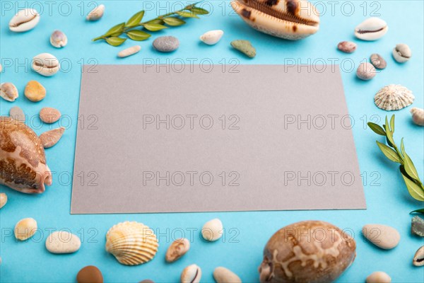 Composition with gray paper sheet, seashells, green boxwood. mockup on blue pastel background. Blank, side view, still life, copy space. travel concept