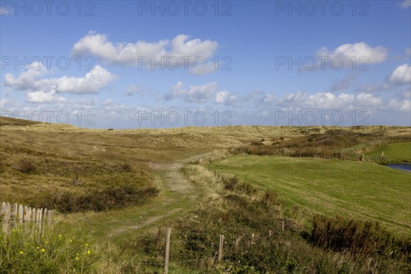 National Park Duinen van Texel, dunes of Texel, North Sea island of Texel, West Frisian island, province of North Holland, Netherlands