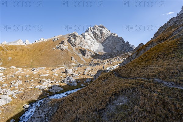 Mountaineers hiking to the mountain lake Kol Suu, mountain landscape with yellow meadows, river Kol Suu and rocky mountain peaks, Keltan Mountains, Sary Beles Mountains, Tien Shan, Naryn Province, Kyrgyzstan, Asia