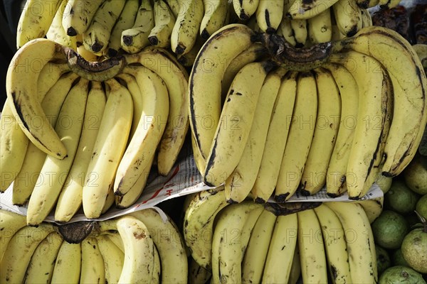 Banana sale, street bazaar, Udaipur, Rajasthan, India, Asia