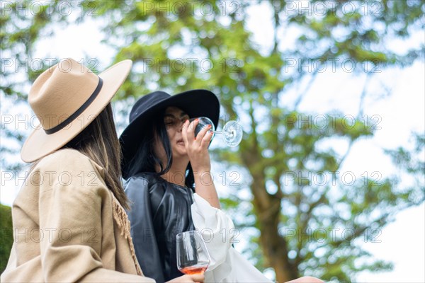 Lifestyle of young friends in hats sitting on the grass toasting with wine. Side view of two women friends in hats sitting drinking wine sitting on the grass