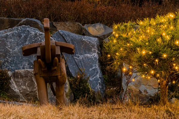 Evergreen shrubs decorated with small yellow Christmas lights next to wooden park bench in South Korea