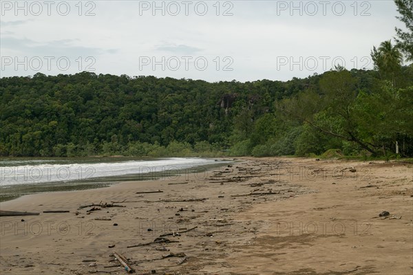 Bako national park, sea sandy beach, overcast, cloudy day, sky and sea. Vacation, travel, tropics concept, no people, Malaysia, Kuching, Asia