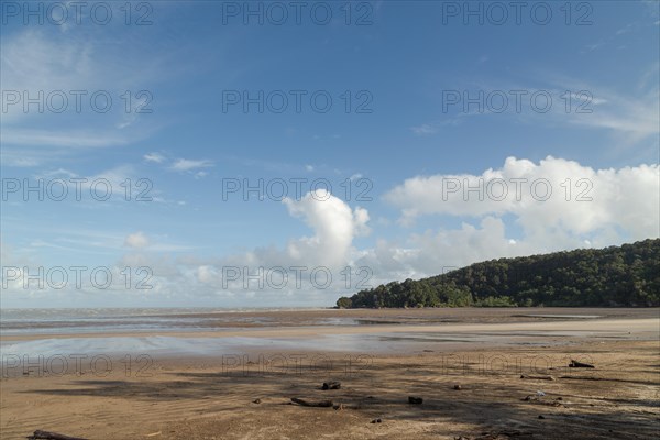 Bako national park, sea sandy beach, sunny day, blue sky and sea. Vacation, travel, tropics concept, no people, Malaysia, Kuching, Asia