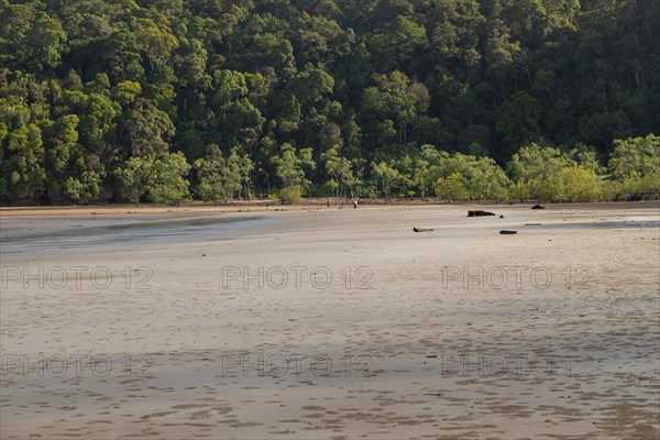 Bako national park, sea sandy beach, sunny day, blue sky and sea. Vacation, travel, tropics concept, no people, Malaysia, Kuching, Asia