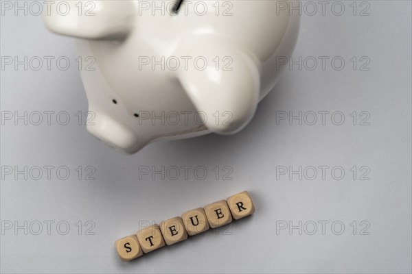 White piggy bank and tax lettering against a white background, top view, studio shot, Germany, Europe