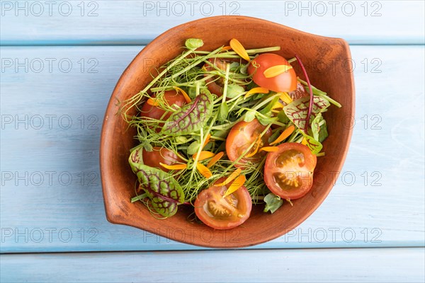 Vegetarian vegetables salad of tomatoes, marigold petals, microgreen sprouts on blue wooden background. Top view, flat lay, close up