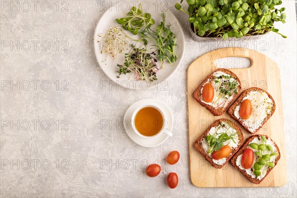 Red beet bread sandwiches with cream cheese, tomatoes and microgreen on gray concrete background. top view, flat lay, copy space
