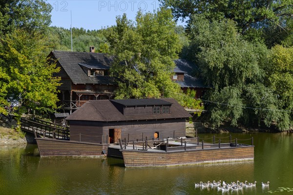 Museum of the watermill, surrounded by trees with geese in front of it, Kolarovo Ship Mill, Kolarovo, Guta, Komarno, Komarno, Nitriansky kraj, Slovakia, Europe