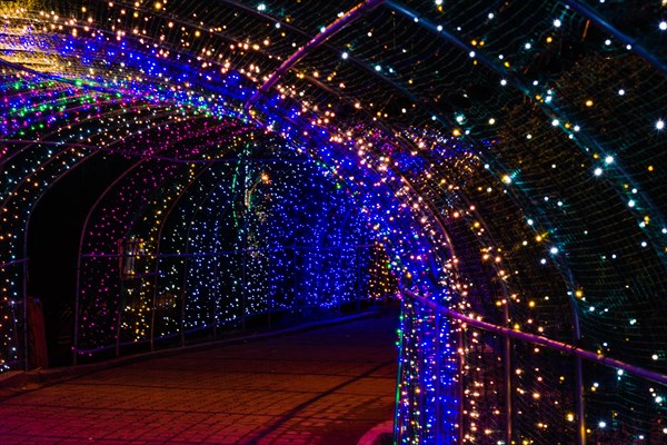 Night photo of tunnel made up of small red, blue, green and white Christmas lights in South Korea