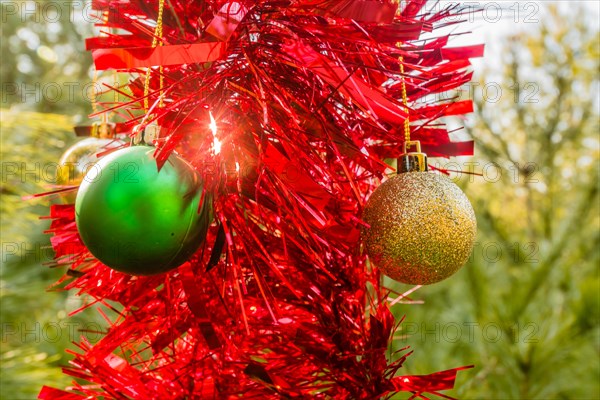 Green and gold Christmas ornaments and red tensile garland hanging on pine tree in local park in South Korea