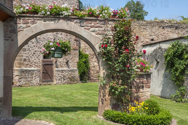 Remains of the historic town wall, Westhoffen, Alsace, France, Europe