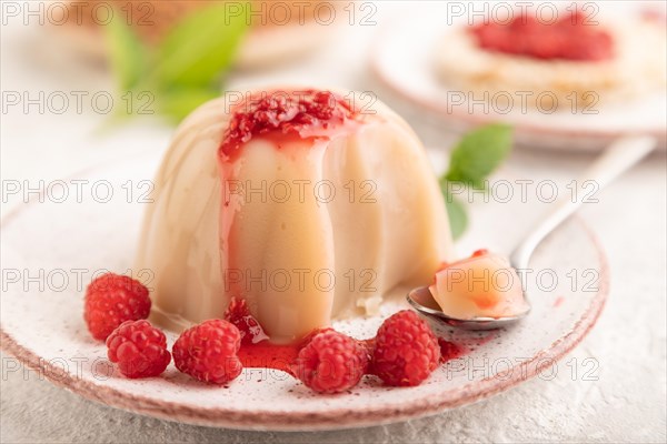 Buckwheat milk jelly with raspberry jam on gray concrete background. side view, selective focus