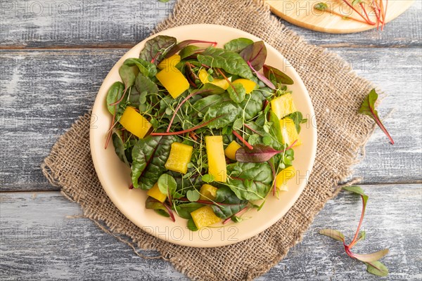 Vegetarian vegetables salad of yellow pepper, beet microgreen sprouts on gray wooden background and linen textile. Top view, flat lay, close up