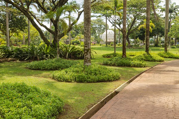 Palm collection in city park in Kuching, Malaysia, tropical garden with large trees and lawns, gardening, landscape design. Daytime with cloudy blue sky, Asia