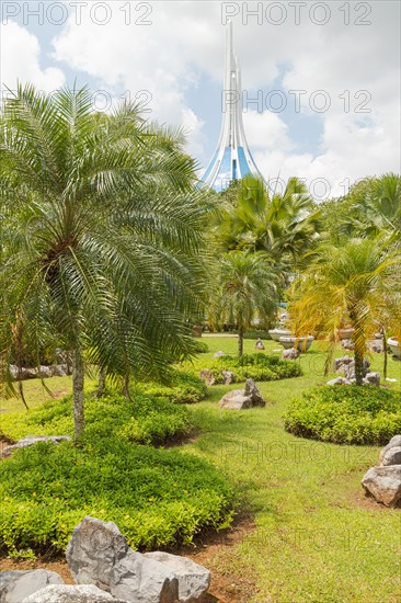 Palm collection in city park in Kuching, Malaysia, tropical garden with large trees and lawns, gardening, landscape design, stone composition, rockery. Daytime with cloudy blue sky, Asia