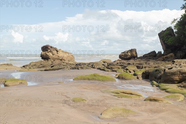 Cliff in Bako national park, sunny day, blue sky and sea. Vacation, travel, tropics concept, no people, Malaysia, Kuching, Asia