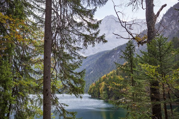 Zugspitze massif and Zugspitze with Eibsee lake, Wetterstein mountains, Grainau, Werdenfelser Land, Upper Bavaria, Bavaria, Germany, Europe