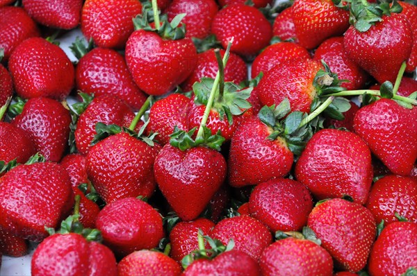 Organic strawberries, fruit sale Farmers Market, Crocker Galleria, Financial District, San Francisco, California, United States of America, USA, North America