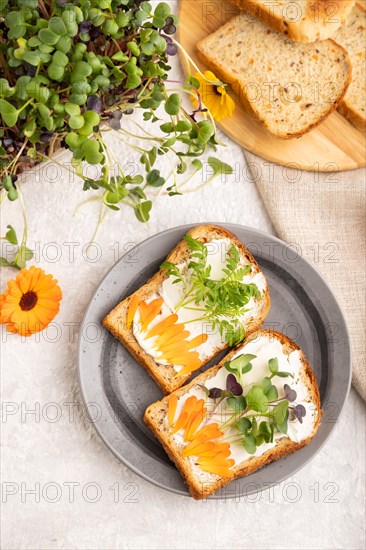 White bread sandwiches with cream cheese, calendula petals and microgreen radish and tagetes on gray concrete background and linen textile. top view, flat lay, close up