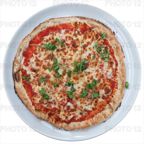 Margherita pizza baked food isolated over white