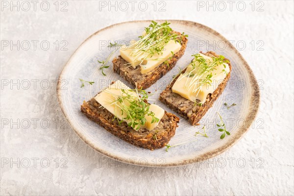 Grain bread sandwiches with cheese and watercress microgreen on gray concrete background. side view, close up
